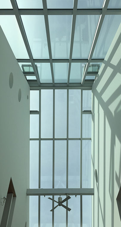 Image of Dutch Light