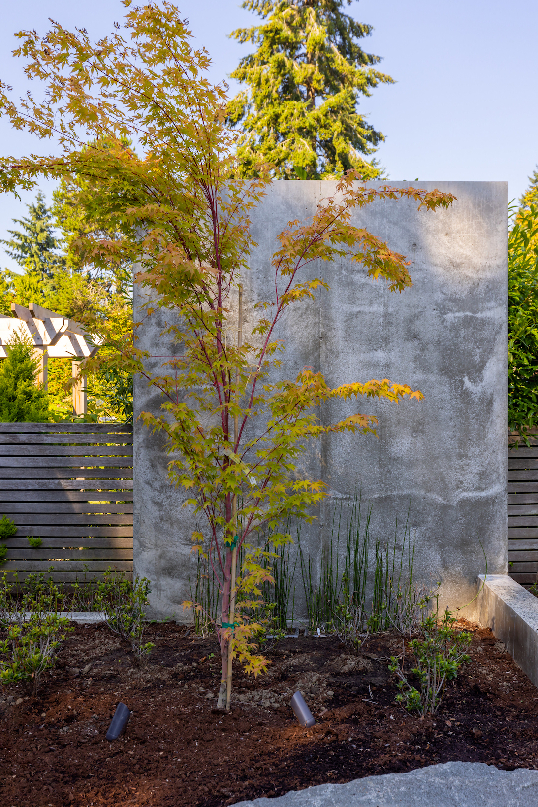 Image of Vashon Island Cabin