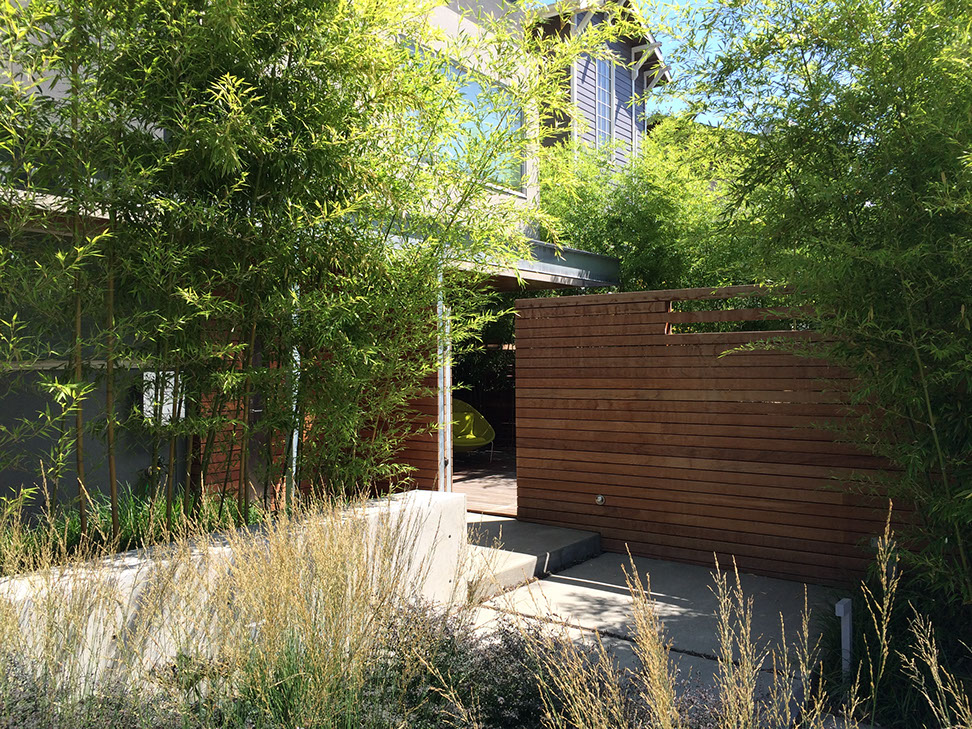 Image of Madison Park Courtyard Spaces