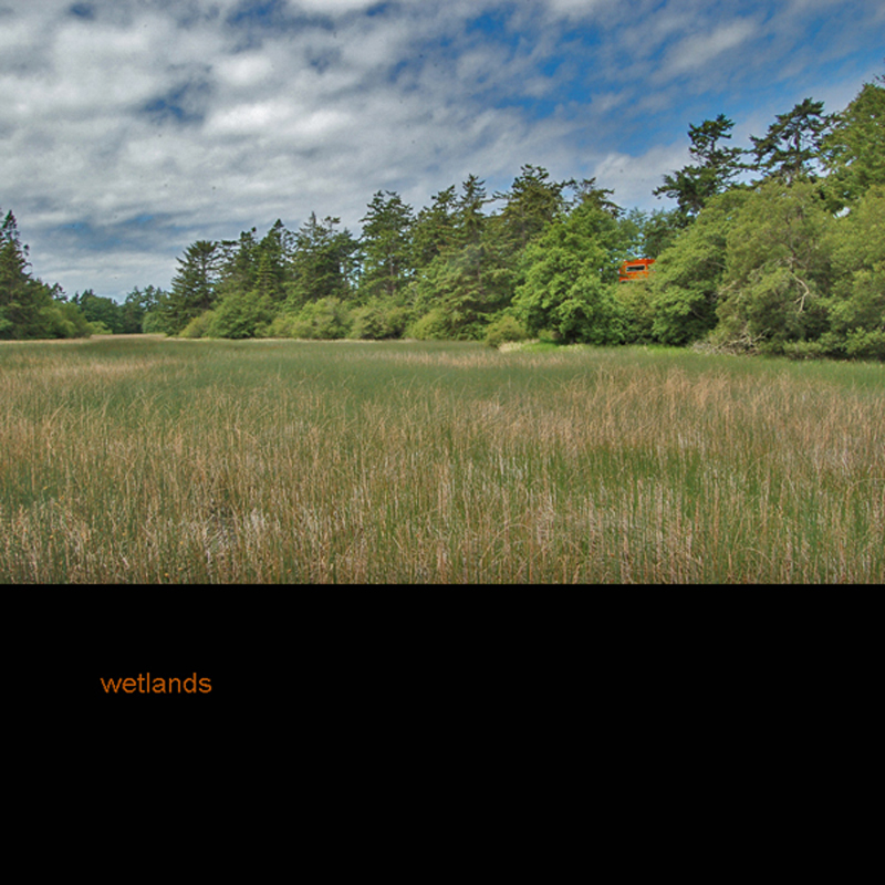 Image of Wetlands Cabin