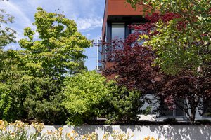 Image of Diggdon Residence