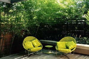 Image of Madison Park Courtyard Spaces