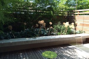 Image of Madison Park Courtyard Spaces
