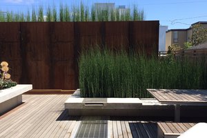Image of Madison Park Courtyard Spaces