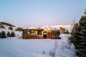 Image of Sun Valley Fireweed
