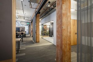 Image of Undead Labs