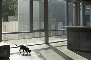 Image of West Newton Penthouse