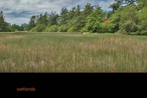Image of Wetlands Cabin